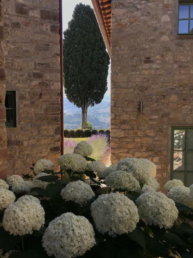 Hotel Borgo Del Cabreo Greve in Chianti Exteriér fotografie
